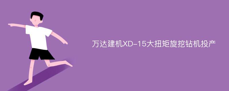 万达建机XD-15大扭矩旋挖钻机投产