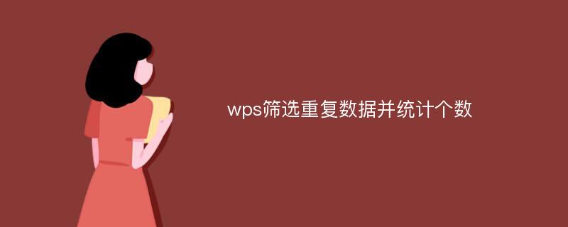 wps筛选重复数据并统计个数