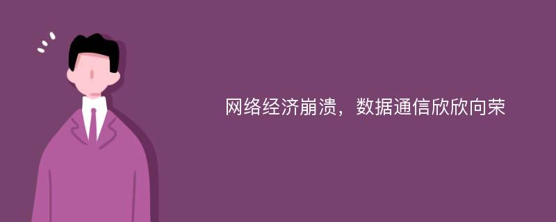 网络经济崩溃，数据通信欣欣向荣