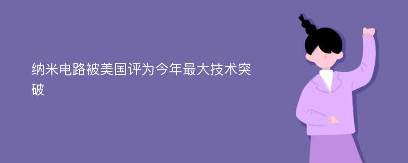 纳米电路被美国评为今年最大技术突破