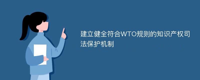 建立健全符合WTO规则的知识产权司法保护机制