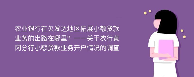 农业银行在欠发达地区拓展小额贷款业务的出路在哪里？——关于农行黄冈分行小额贷款业务开户情况的调查