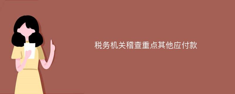 税务机关稽查重点其他应付款